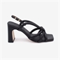 Angel Alarcon Sophie 25092 dream negro